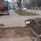 Ekipa budowlana na ul. Barcza w Olsztynie nie spodziewała się wizyty straży miejskiej