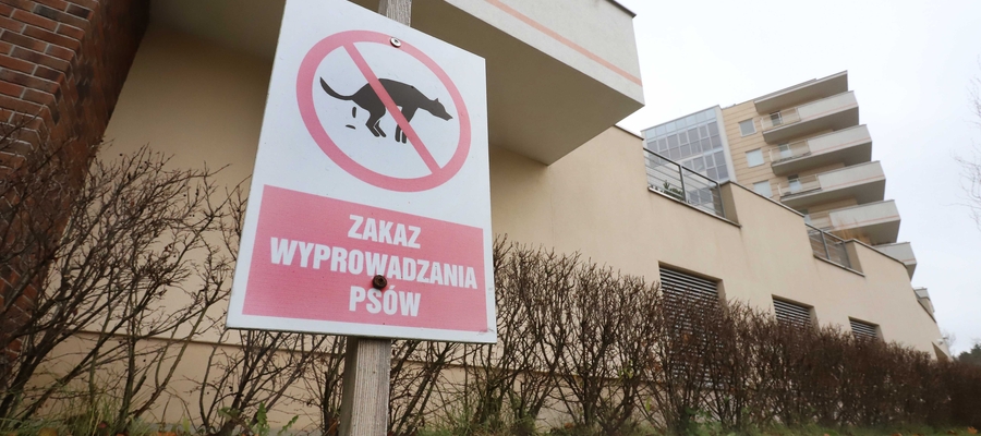 Psy mieszkające w bloku przy ul. Armii Krajowej w Olsztynie muszą mieć się na baczności