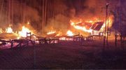 Stegna: Nocny pożar domków letniskowych