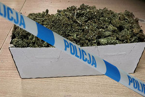 200 gramów marihuany posiadał mieszkaniec powiatu iławskiego