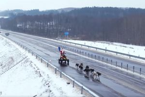 Mikołaj na psim zaprzęgu przejechał przez obwodnicę Nowego Miasta Lubawskiego