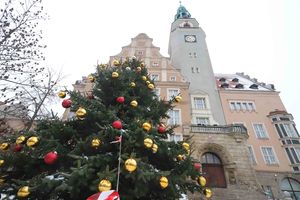 Już jutro oficjalne rozpoczęcie sezonu świątecznego w Olsztynie. Przed ratuszem rozbłyśnie choinka