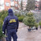 Strażnicy miejscy z Olsztyna kontrolują sprzedaż choinek. Historia drzewka musi być czysta jak łza