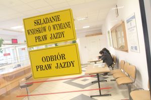 Czy starosta może zabrać prawo jazdy? Wyjaśniamy