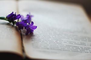 Warto przeczytać: Ewa Karolak „Zmysłowy urok krótkich myśli”