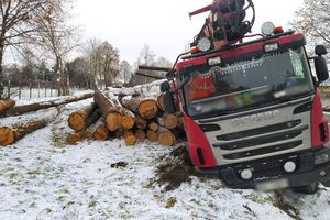 Ciężarówka z drewnem przewróciła się do rowu. Ruch wahadłowy na wyjeździe z Olsztyna