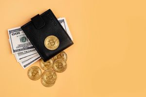 Jak założyć portfel bitcoin, gdy dopiero rozpoczynasz w branży krypto? Odpowiadamy!