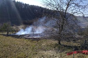 Stop pożarom traw — ważny apel strażaków