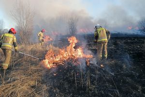 Straż pożarna apeluje, ale sezon właśnie się rozpoczyna. Pożary traw to w znacznej części przypadków podpalenia. Co grozi za wypalanie traw?  [ZDJĘCIA]