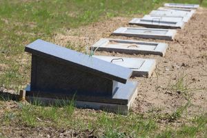 Amerykański cmentarz w Dywitach już powstaje. Olsztyn wyznacza trendy?