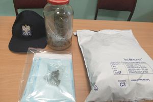 Policjanci zabezpieczyli prawie 700 gramów narkotyków