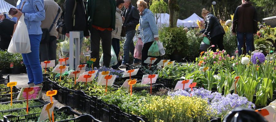 Wiosenne Targi Ogrodnictwa "Pamiętajcie o ogrodach", organizowane przez Warmińsko-Mazurski Ośrodek Doradztwa Rolniczego z siedzibą w Olsztynie, odbędą się w dniach 22-23 kwietnia na terenach leśnych przy ul. Jagiellońskiej 91.