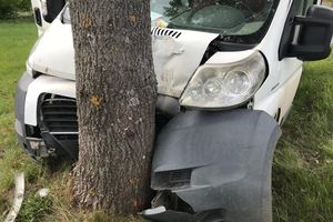 Kierowca dostawczaka wypadł z jezdni i uderzył w drzewo