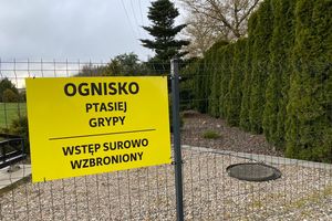 Ścieżka edukacyjna w Pieckach zamknięta z powodu ptasiej grypy