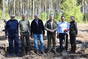 Wojewoda Artur Chojecki sadził las w Nadleśnictwie Korpele