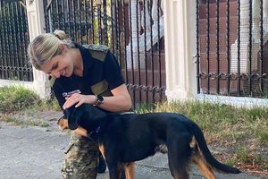 Braniewo: Wychudzony pies czekał na przystanku autobusowym. Funkcjonariusze Straży Granicznej dali mu nowy dom!
