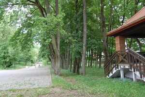 Gmina Olecko planuje budowę parku linowego 