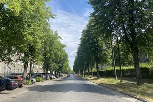 Nowa ścieżka rowerowa przy Królewieckiej wciąż w sferze planów. Ile drzew może zniknąć z tej ulicy?
