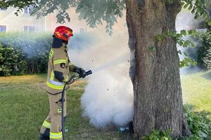 Strażacy gasili pożar drzewa