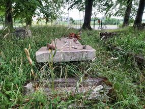 Historie krótkie i ciekawe: Król Sielaw zaprasza na cmentarz