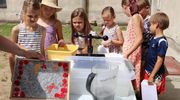 Lato w Mławie – wakacyjna oferta zajęć dla dzieci