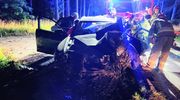 W nocy pijany kierowca uderzył w drzewo [ZDJĘCIA]