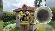Strażacy uratowali kota uwięzionego w 10-metrowej studni [ZDJĘCIA]
