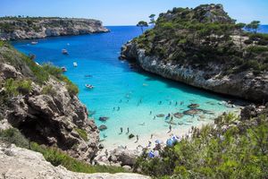 Turyści na Majorce podnieśli lament. Ostrzeżenia przed pogryzieniem
