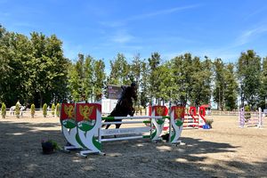 Zakończyły się Międzynarodowe Zawody Jeździeckie w skokach przez przeszkody w Biskupcu [ZDJĘCIA]