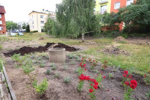 Trwa rewitalizacja olsztyńskich podwórek. Jak idą prace mieszkańcom? [ZDJĘCIA]