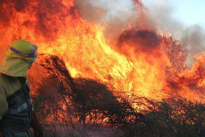 Na La Palmie spłonęło blisko 5 tys. ha lasów i łąk; trwa ewakuacja ludności i zwierząt
