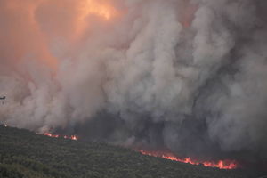 Gracja: Piekło na Rodos. Strażacy siódmy dzień walczą z pożarami