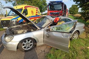 Kierowca mercedesa uderzył w drzewo. 35-letni mieszkaniec powiatu braniewskiego był pijany
