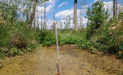 Rowerowa Obwodnica Olsztyna (54) : Gdzie nie spluniesz, trafisz na wodę lub śmieci
