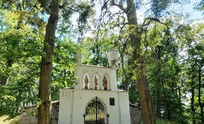 Rowerowa Obwodnica Olsztyna (56): wokół jeziora Buwełno