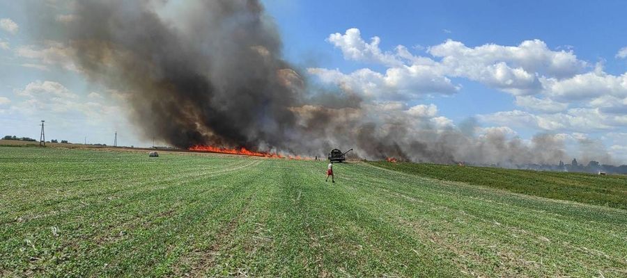 zdjęcie ilustracyjne