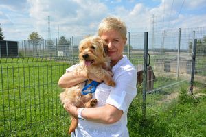 Ostrów Wlkp./ Ostrowski Zakład Ciepłowniczy adoptował z miejskiego schroniska trzy psy, mające najmniejsze szanse na adopcje