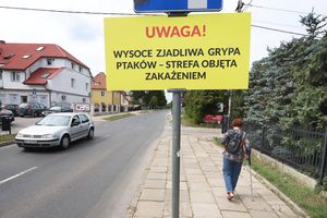 Strefa objęta zakażeniem. Gdzie się znajduje?