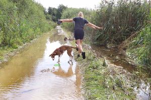 AKTUALIZACJA: Woda na ścieżkach pieszo-rowerowych w Olsztynie. Łynostrada zalana [GALERIA]