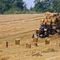 Na Warmii i Mazurach ruszyły żniwa - trzy tygodnie później niż przed rokiem