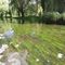 Łyna czysta jak nigdy. Turyści zachwycają się rzeką w Olsztynie