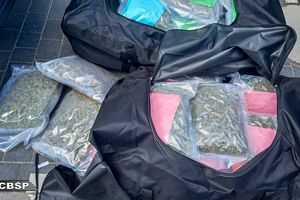 Prawie 200 kilogramów narkotyków wartych ok. 16 mln zł przejęli policjanci