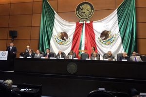 Dwa ciała istot pozaziemskich pokazano w Meksyku(wideo)