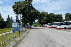 Nowa linia autobusowa w powiecie nowomiejskim [ROZKŁAD JAZDY]