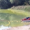 "Woda jak zielona zupa!" Niebezpieczne sinice zaatakowały jezioro Żbik w Olsztynie [ZDJĘCIA]