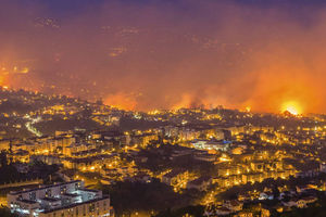 Osiem osób rannych wskutek pożarów lasów na Maderze