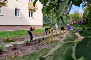 Trwa rewitalizacja olsztyńskich podwórek. Jak idą prace? [ZDJĘCIA]