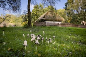 Skansen w Radomiu jest większy
