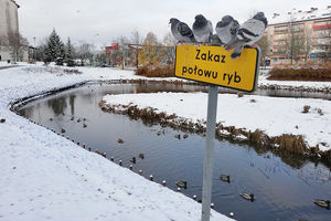 Coraz niższa temperatura i pierwsze opady śniegu. Czy to początek zimy w Olsztynie?