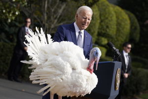 Prezydent Biden “ułaskawił” indyki z okazji Święta Dziękczynienia